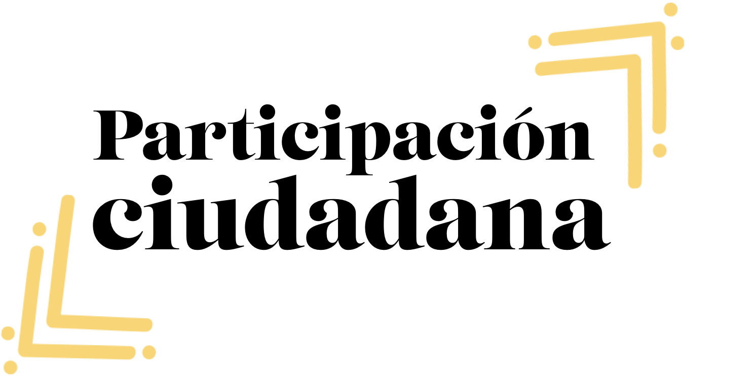 Participación ciudadana